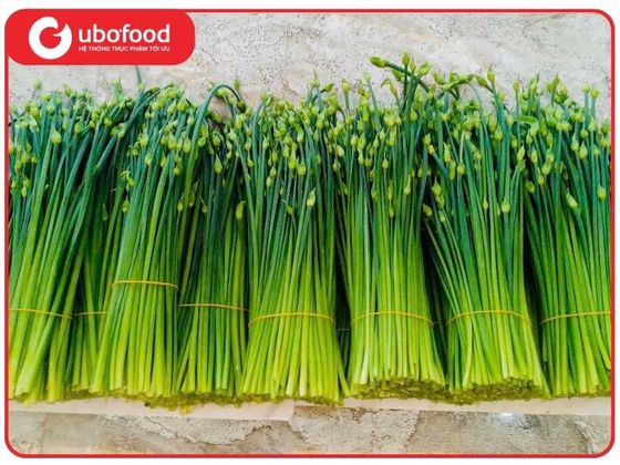 Bông hẹ Hữu Cơ (NB)